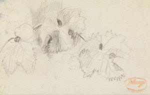 Leaves 1 by George Romney